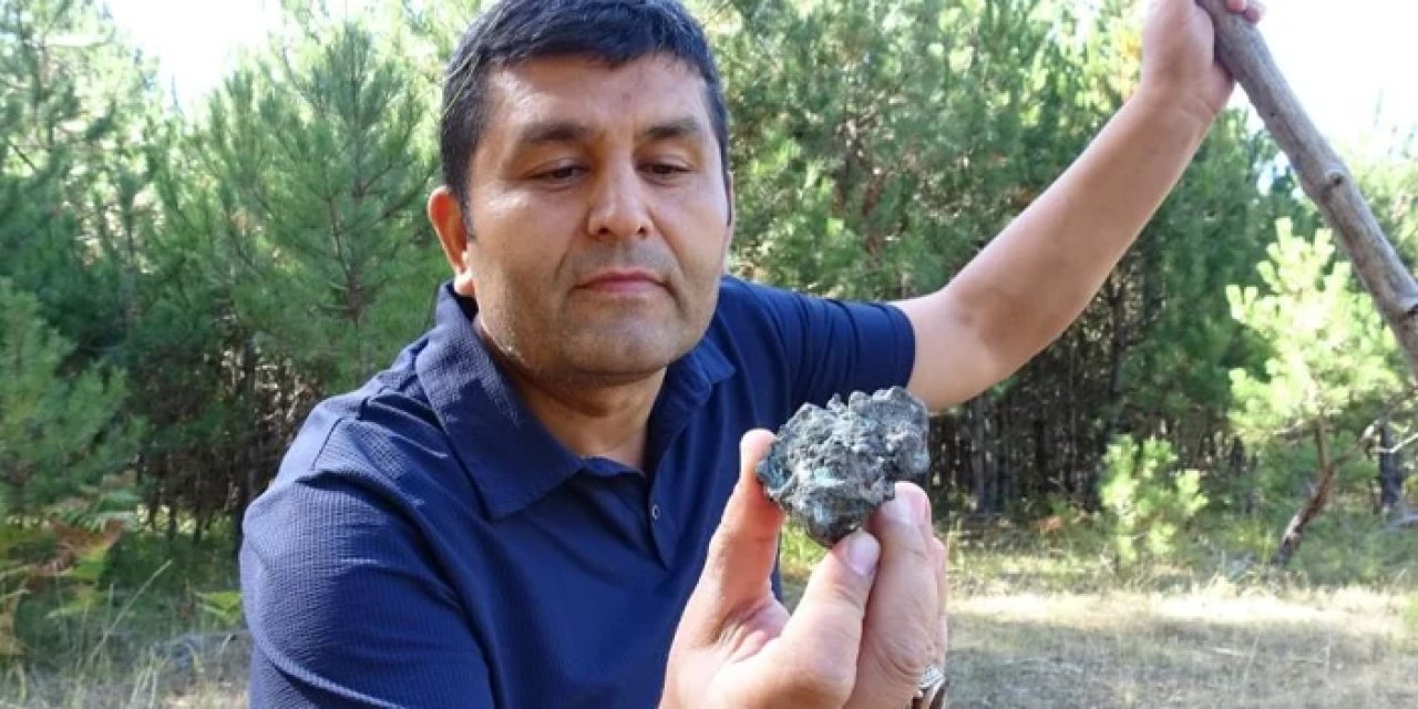 Mantar ararken öyle bir şey buldu ki! Üniversitede incelemeye alındı