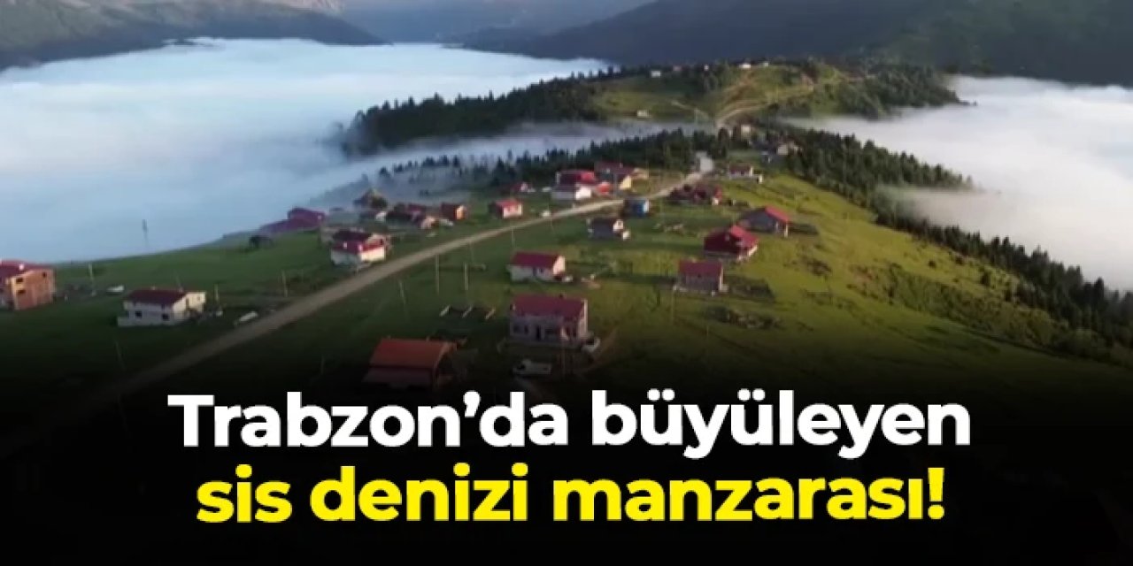 Trabzon'da Büyük Harman Yaylası'ndan büyüleyen sis denizi manzarası