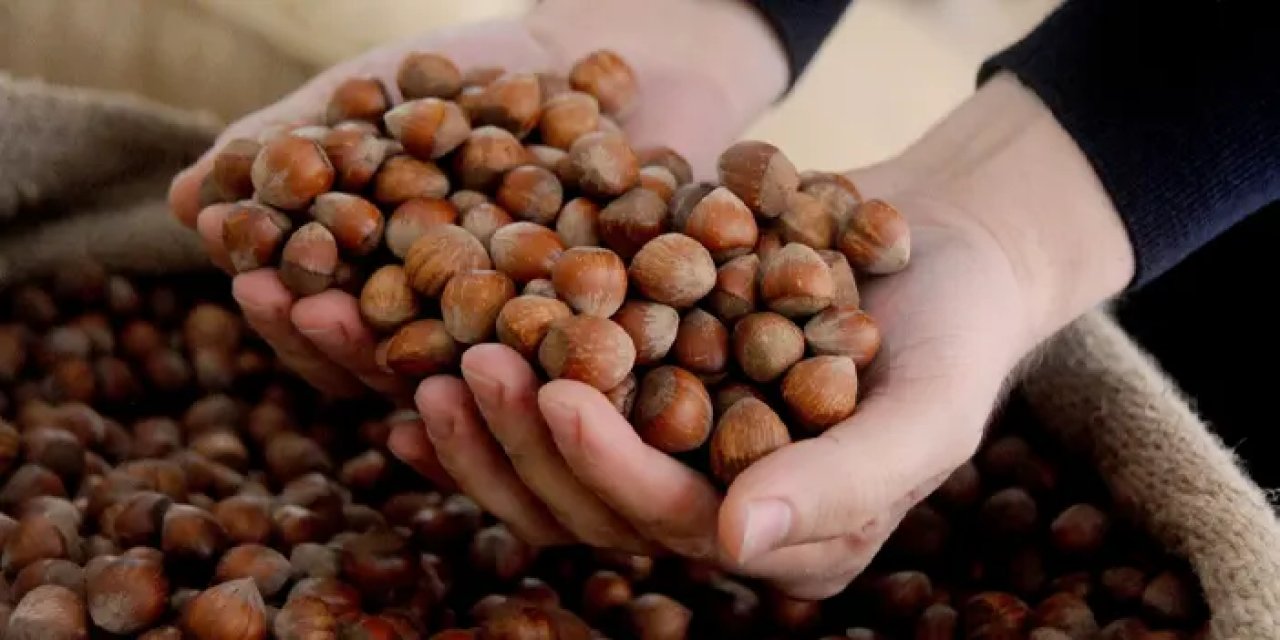 Fındık haftayı kaç lirayla kapattı? İşte serbest piyasada son durum