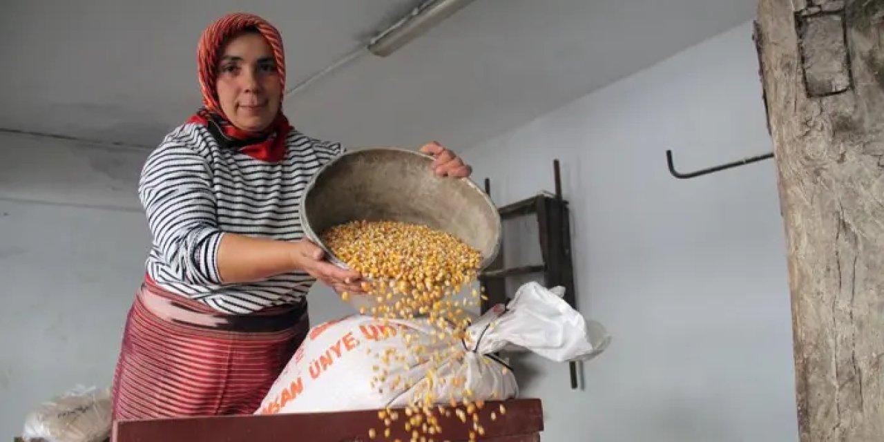 Dedesinden miras: Giresun'da son değirmenin çarkları dönüyor