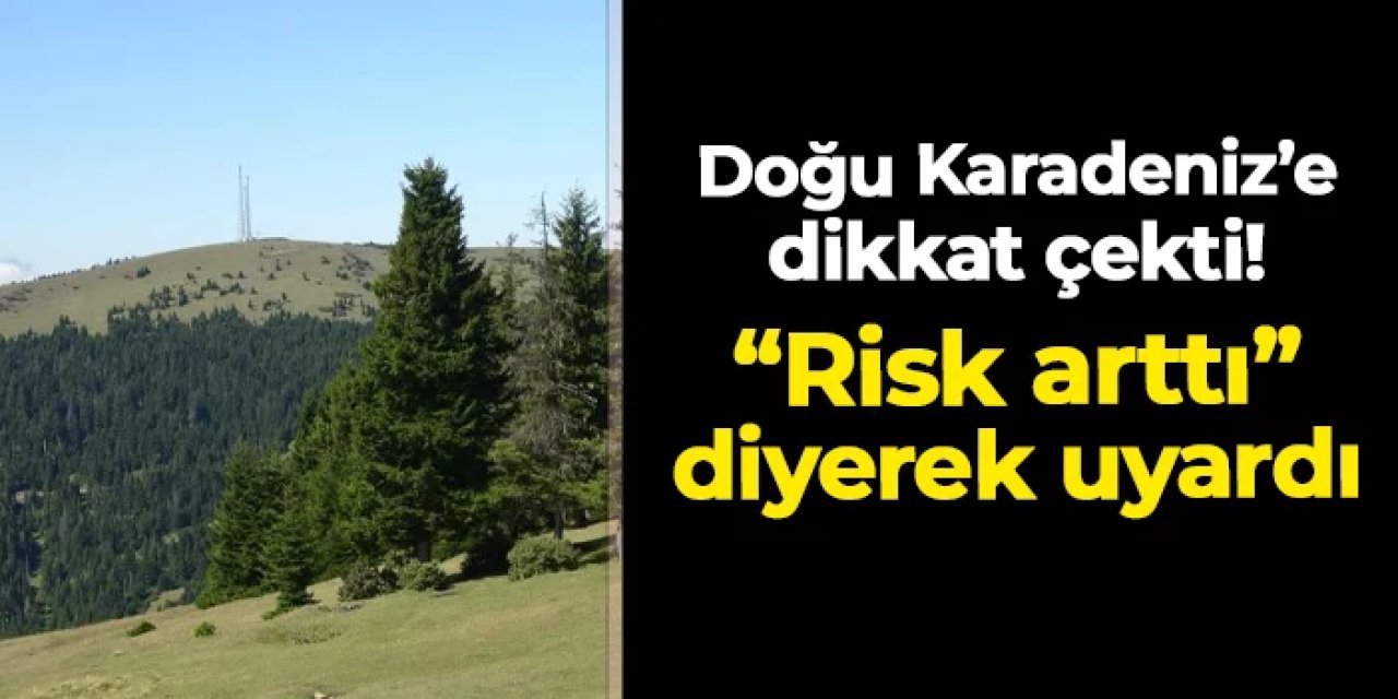 Doğu Karadeniz'e dikkat çekti! "Risk arttı" diyerek uyardı