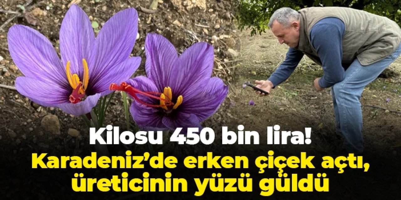 Kilosu 450 bin lira! Erken çiçek açtı: Karadeniz'de üreticinin yüzü güldü