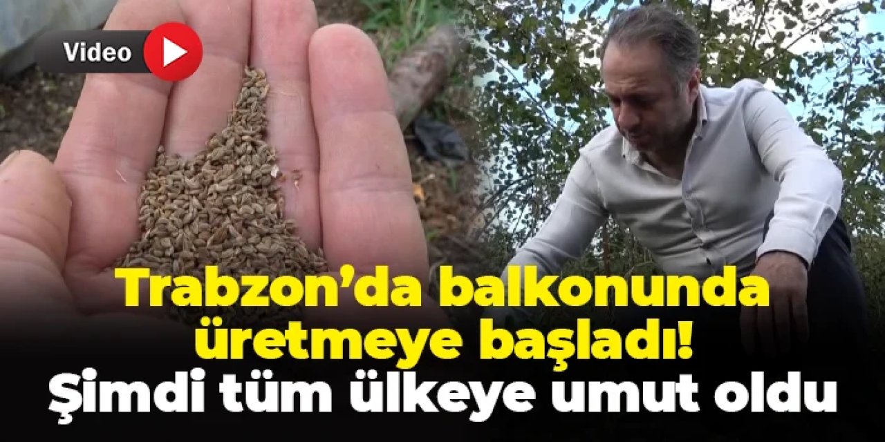 Trabzon'da balkonunda üretmeye başladı! Şimdi ise tüm ülkenin umudu oldu