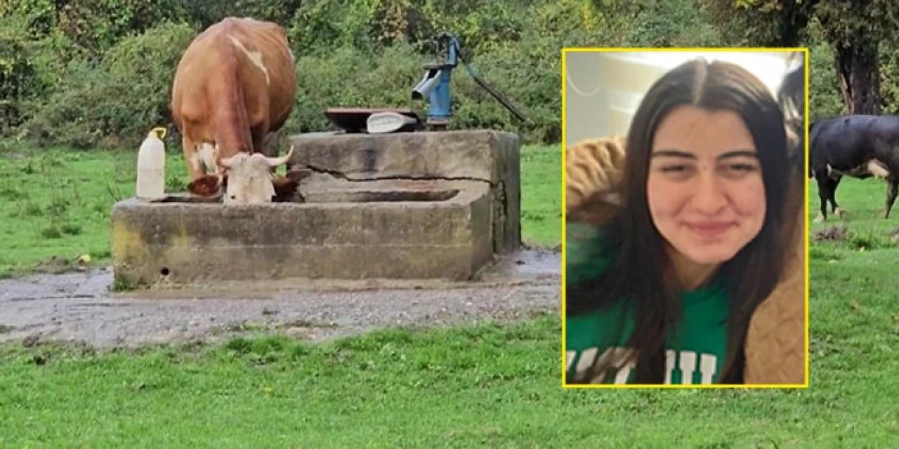 Karadeniz ilinde kuyuda ceset bulunmuştu! Cinayete kurban gitmiş