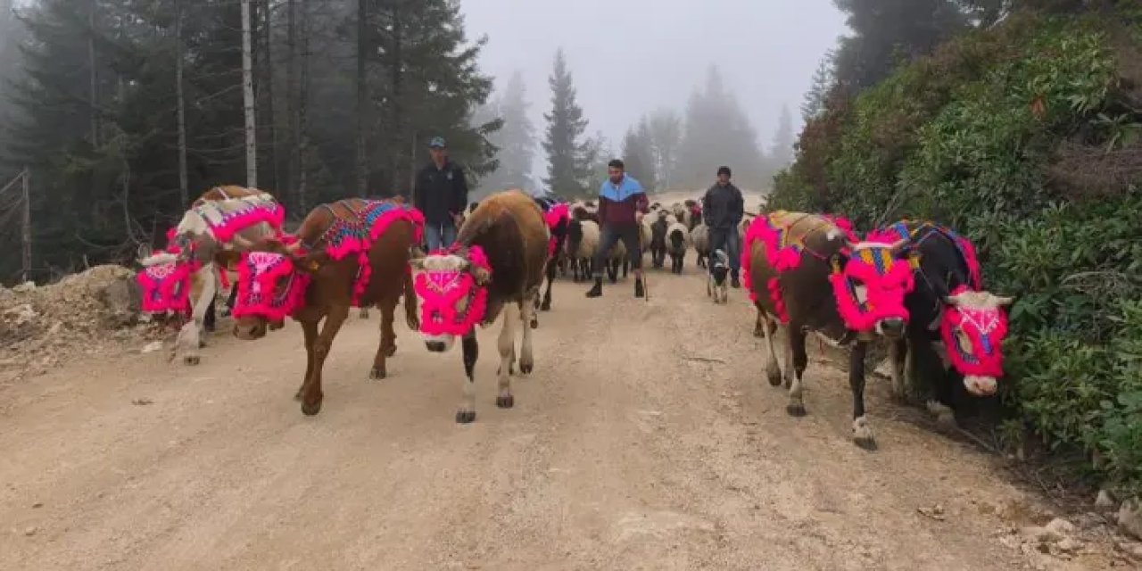 Trabzon'da yolculuk başladı! Kilometrelerce yürüyecekler