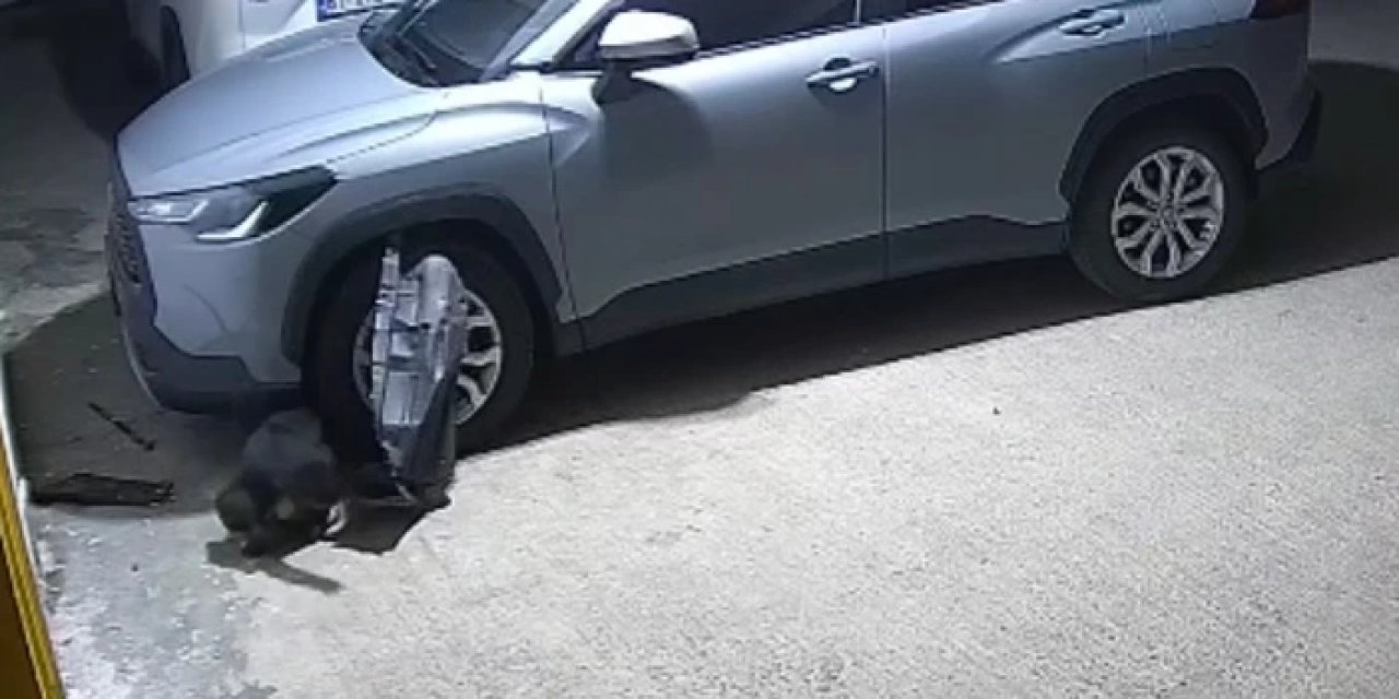Trabzon'da aracındaki hasarı görünce şok oldu! Olup biten güvenlik kamerasında ortaya çıktı