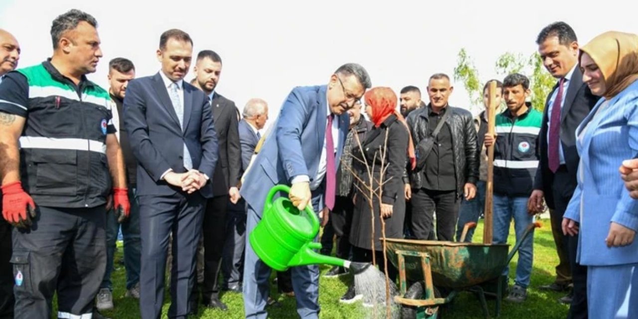 Trabzon’da yerel meyve türleri yeniden toprakla buluşuyor: Üreticilere fidan dağıtıldı