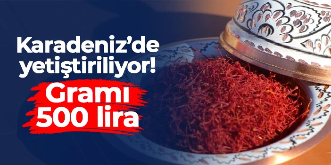 Karadeniz'de yetişiyor: Dünyanın en pahalı baharatının gramı 500 TL