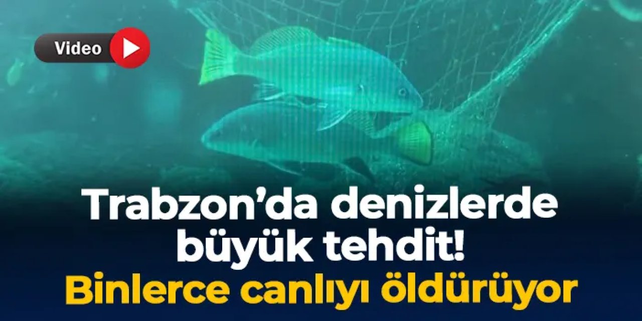 Trabzon'da denizlerde büyük tehdit! "Binlerce deniz canlısını öldürüyor"