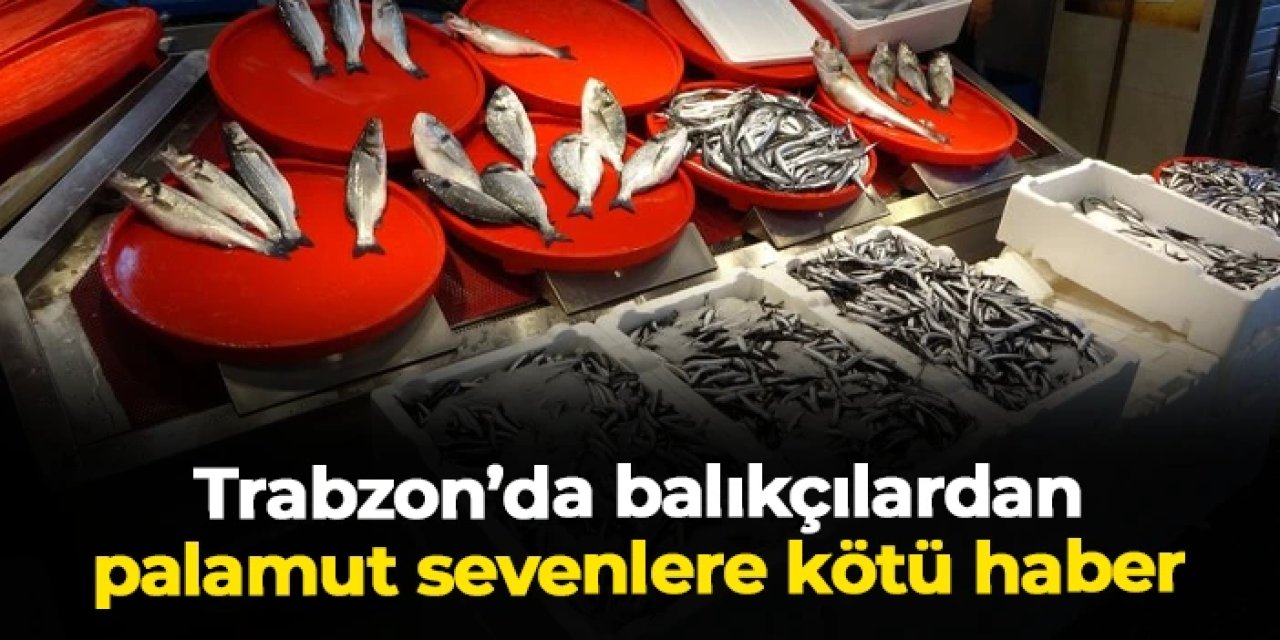 Trabzon'da balıkçılardan palamut sevenlere kötü haber: "Mümkün değil"