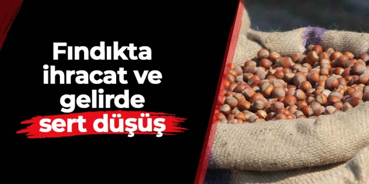 Fındıkta ihracat ve gelirde sert düşüş