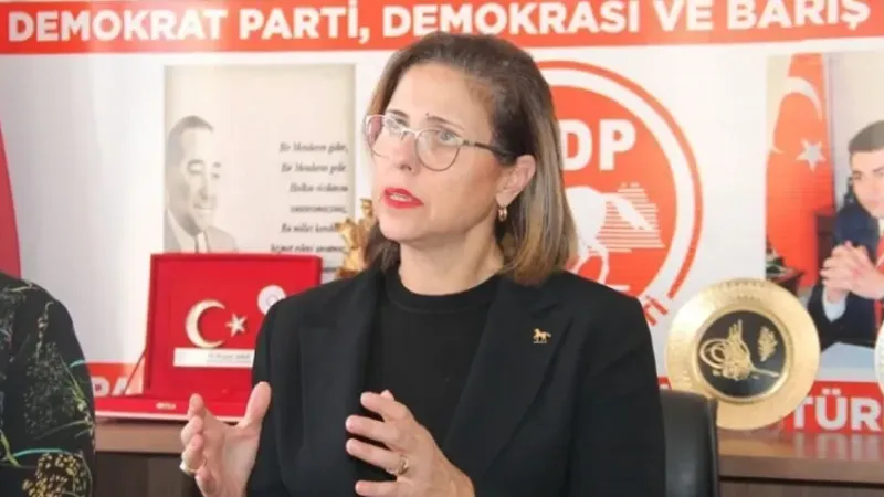 Demokrat Parti'de Genel Başkanlığa sürpriz aday: İlay Aksoy