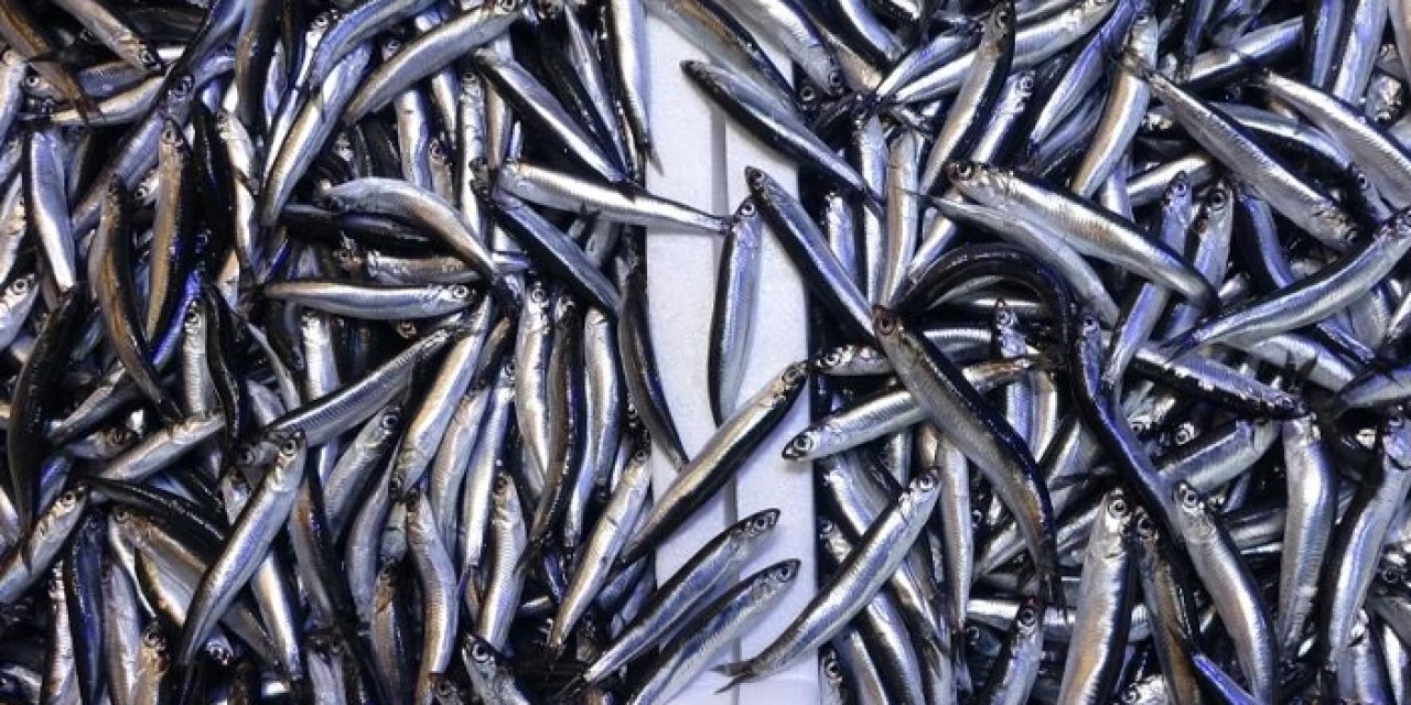 Hamside beklenmedik gelişme: Bol olsa da ihracat hedefi tutmadı