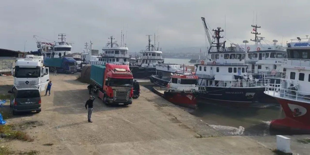 Trabzon'da hamsi bereketi: Tırlarla farklı illere gönderildi