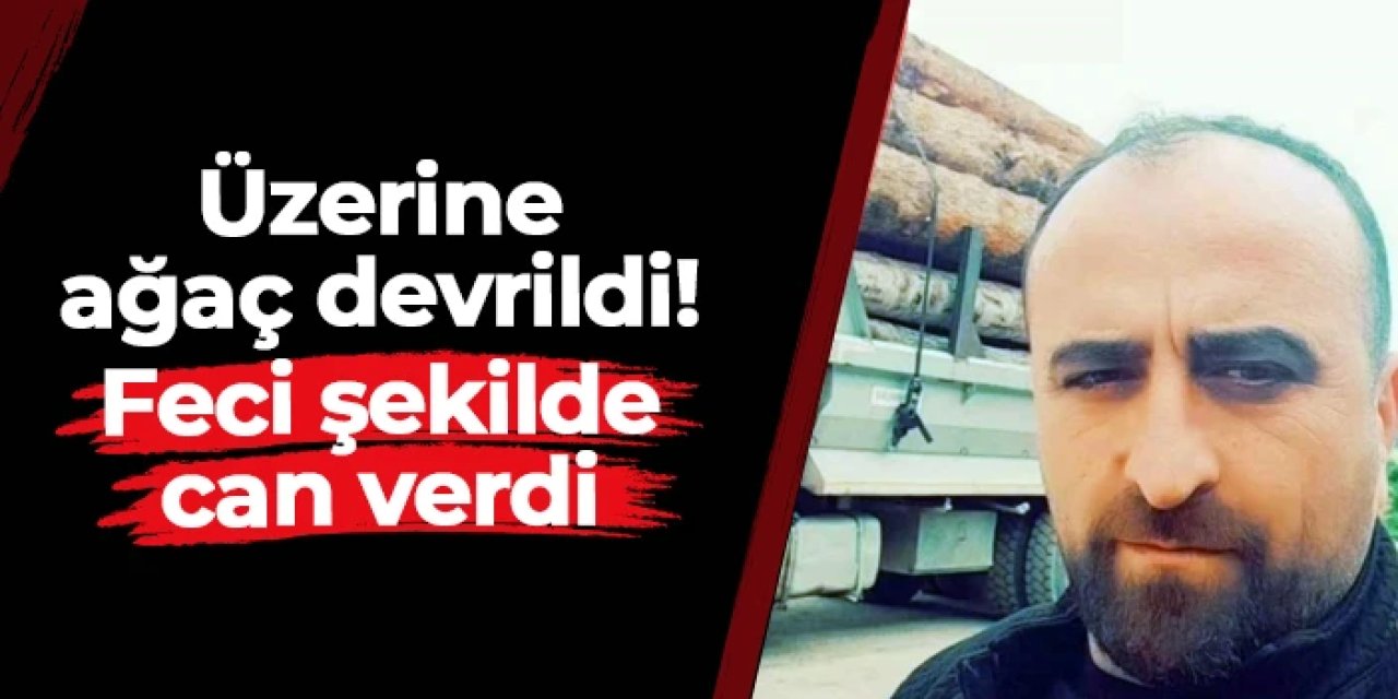 Artvin’de üzerine ağaç devrilen Musa Çil hayatını kaybetti