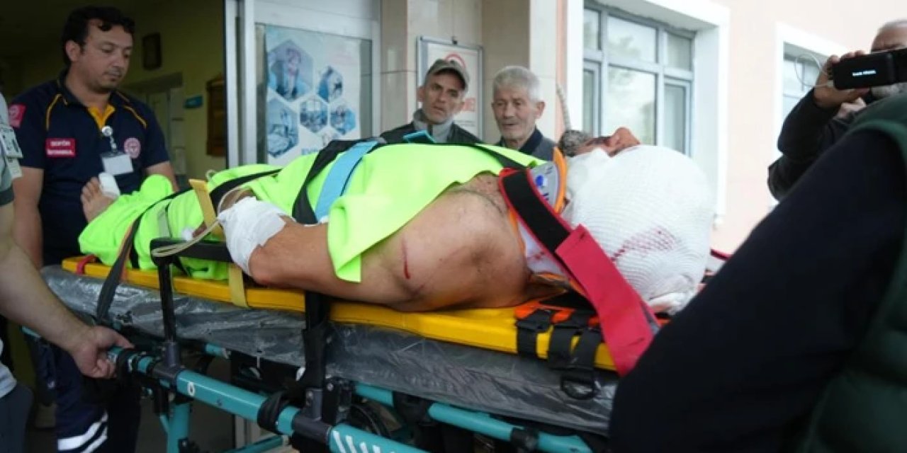 Kastamonu'da ayı saldırısına uğrayan imam hastanelik oldu