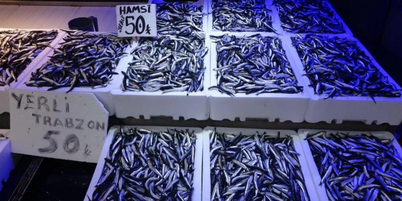 Trabzon'da hamsi bolluğu: Fiyat düştü, vatandaşın yüzü güldü