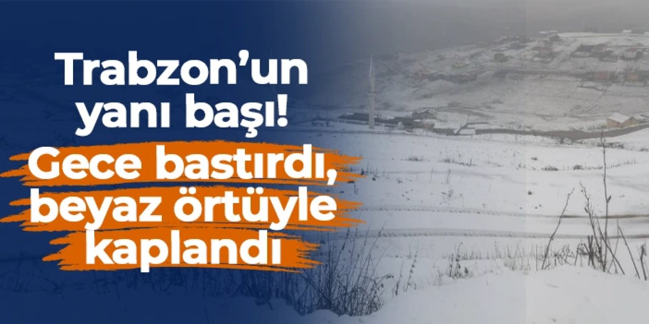 Gümüşhane'de Kadırga Yaylası beyaza büründü