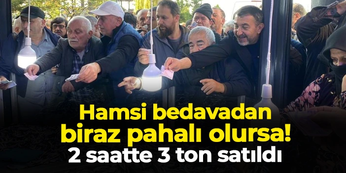 Hamsi bedavadan biraz pahalı olursa! 2 saatte 3 ton satıldı