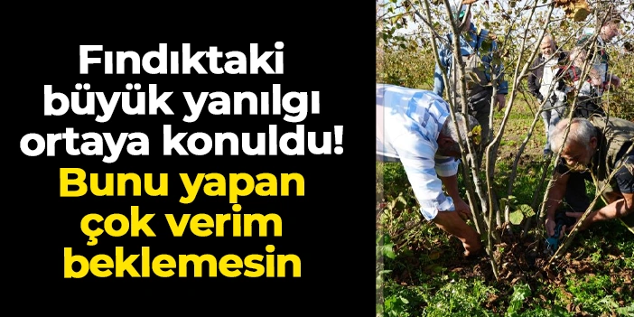 Fındıkta büyük yanılgı ortaya konuldu! Bunu yapan çok verim beklemesin