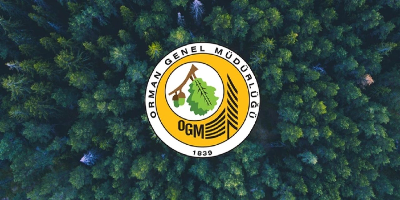 Trabzon Orman Bölge Müdürlüğü'ne 5 personel alımı yapılacak