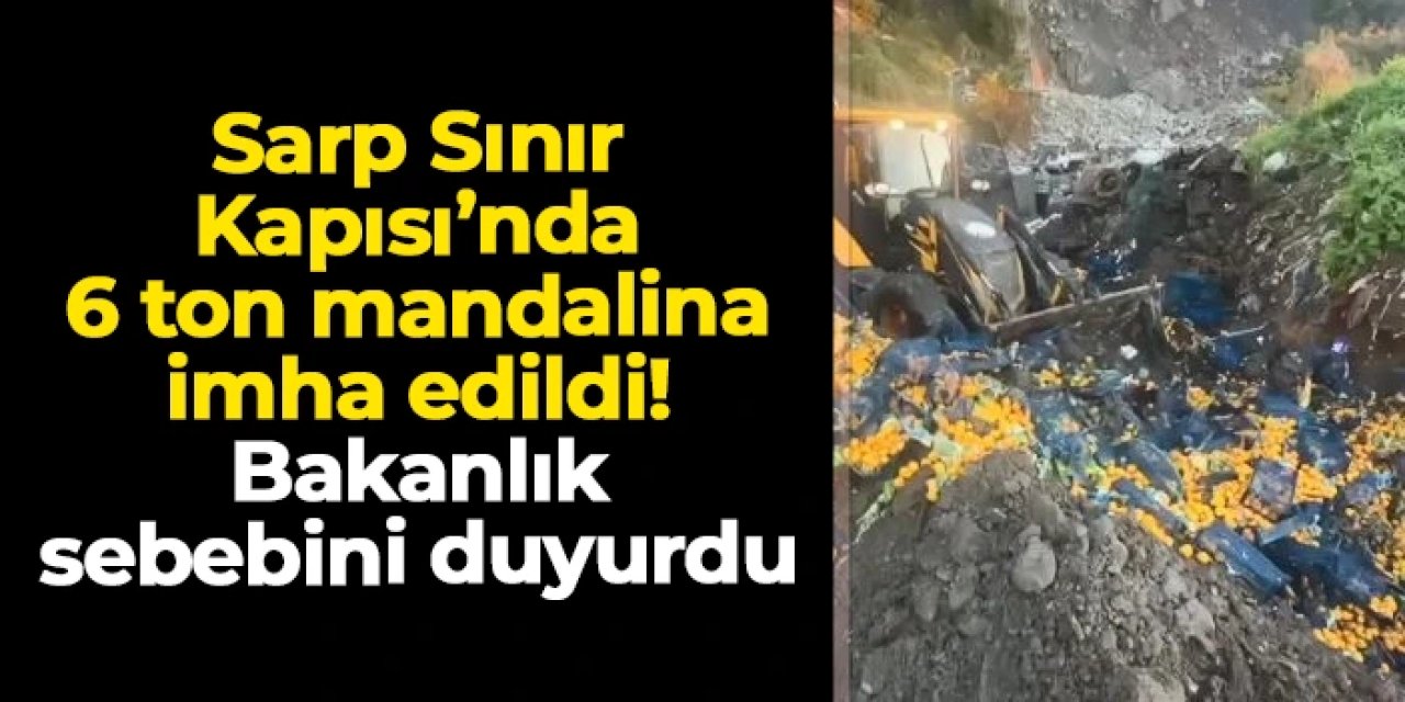 Sarp Sınır Kapısı'nda 6 ton mandalina imha edildi! Bakanlık sebebini duyurdu