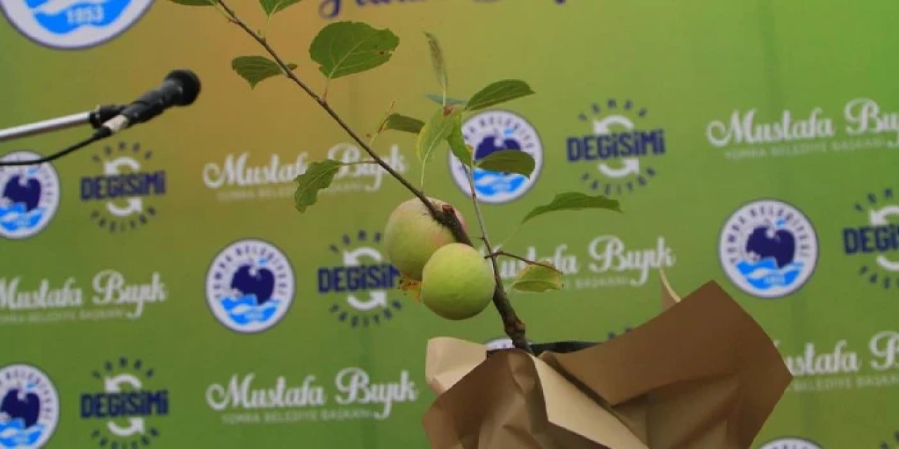 Yomra Belediyesi ücretsiz elma fidanı dağıtacak