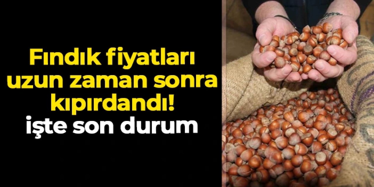 Fındık fiyatları uzun zaman sonra kıpırdandı! İşte son durum