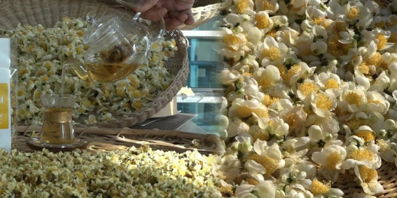 Çaydan yeni bir ürün daha elde edildi! Kilosu 6 bin liradan satılıyor