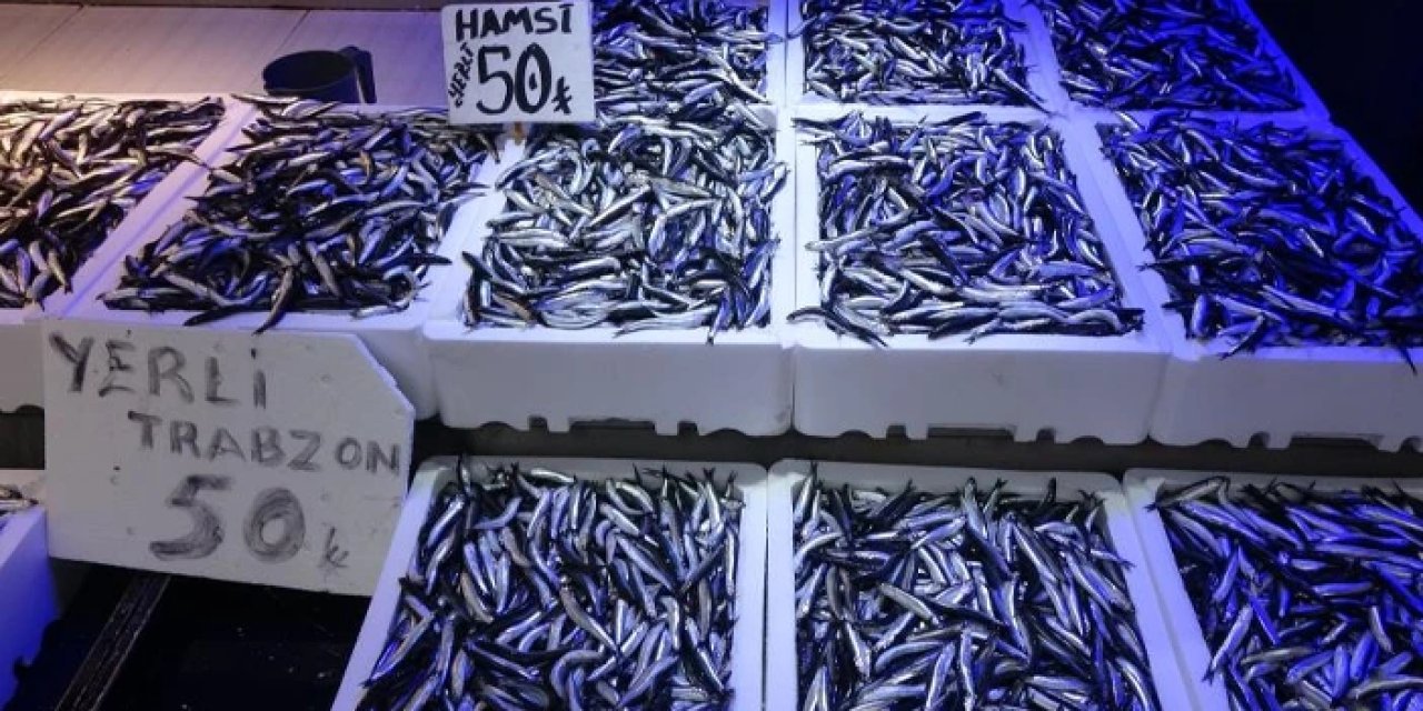 Trabzon'da  balıkçıların tatlı sıkıntısı! "Hamsi uykusuz bıraktı"