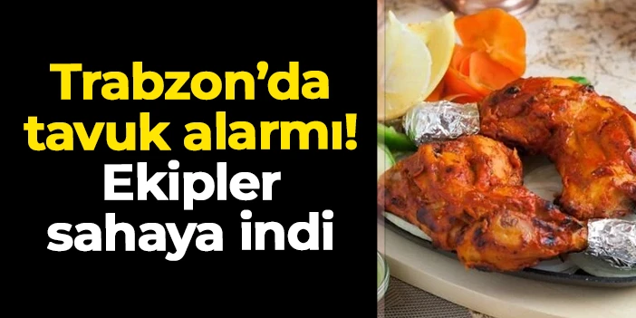 Ortahisar Belediyesi ekiplerinden tavuk satan işletmelere denetim