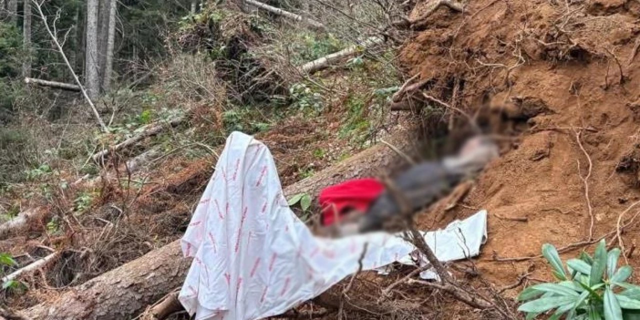 Trabzon'da acı olay! Kestiği ağacın altında kalıp can verdi
