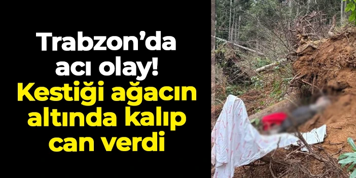 Trabzon'da acı olay! Kestiği ağacın altında kalıp can verdi