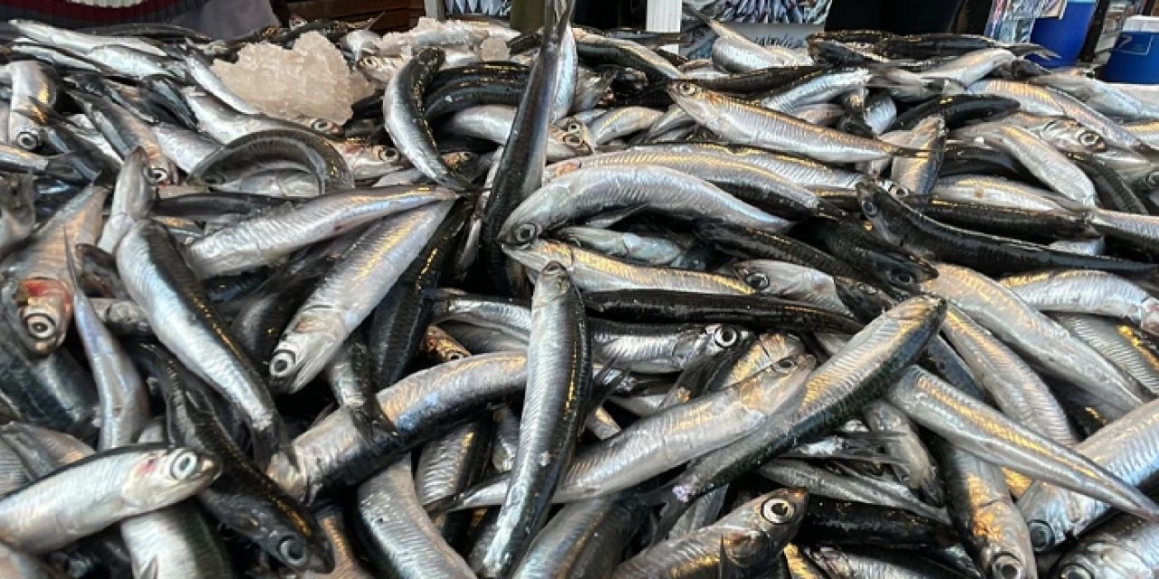 Trabzon'da hamsinin fiyatı 2 günde ikiye katlandı!