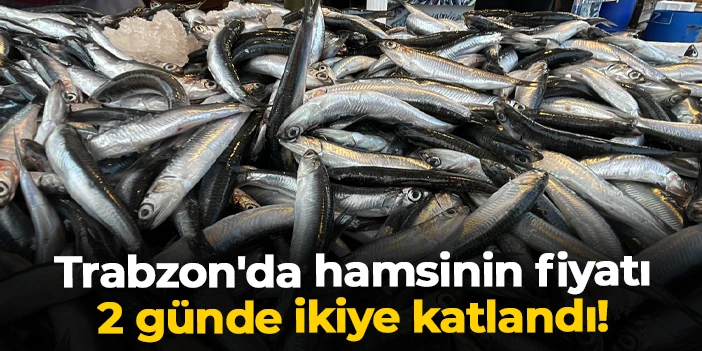 Trabzon'da hamsinin fiyatı 2 günde ikiye katlandı!