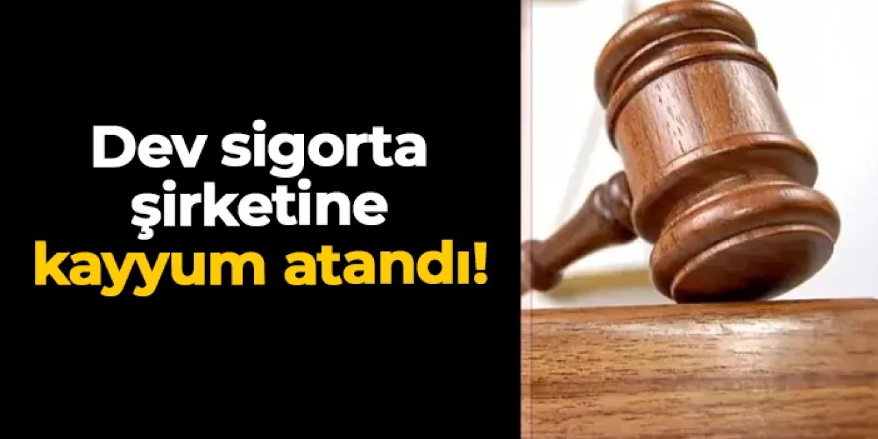 Türkiye'de dev sigorta şirketine kayyum atandı