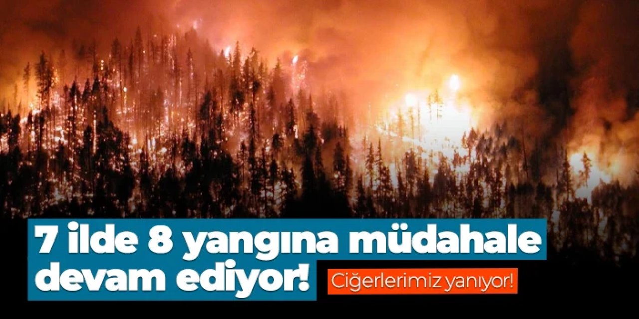 7 ilde 8 yangına müdahale sürüyor! Açıklama geldi