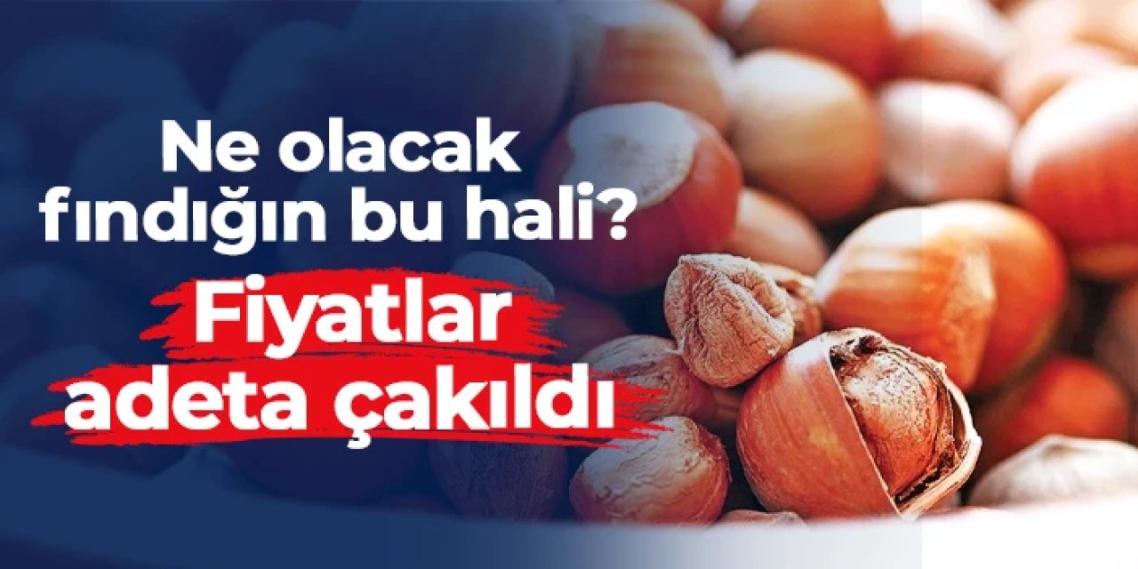 Ne olacak fındığın bu hali? Fiyatlar adeta çakıldı
