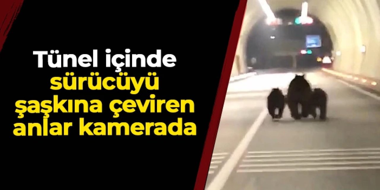 Bartın'da tünel içinde sürücüyü şaşkına çeviren anlar! 3 ayı kamerada