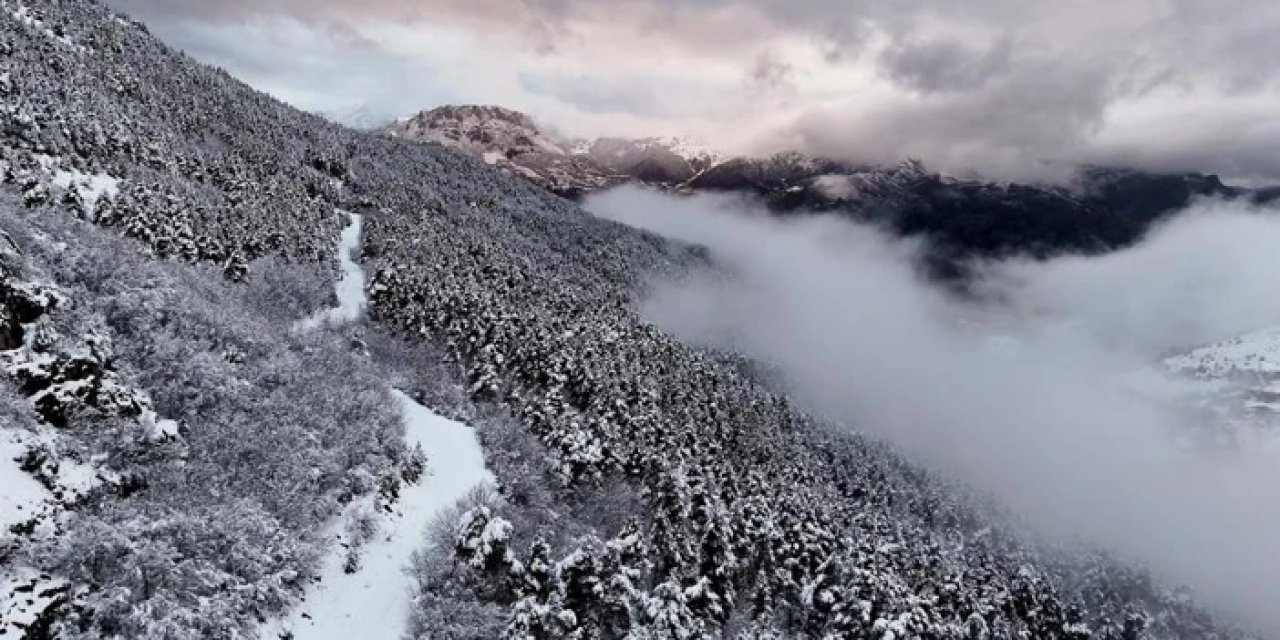 Gümüşhane'de kar yağışı etkili oldu: Kent beyaza büründü