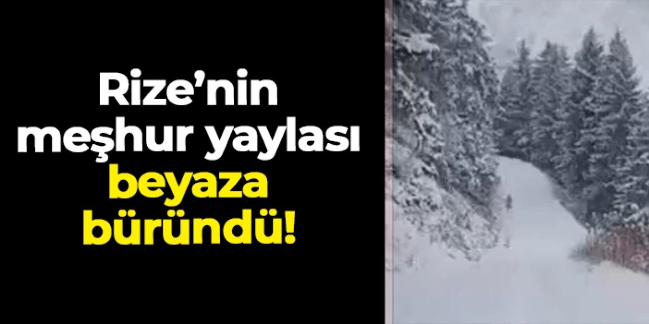 Rize'nin meşhur yaylası Anzer beyaza büründü