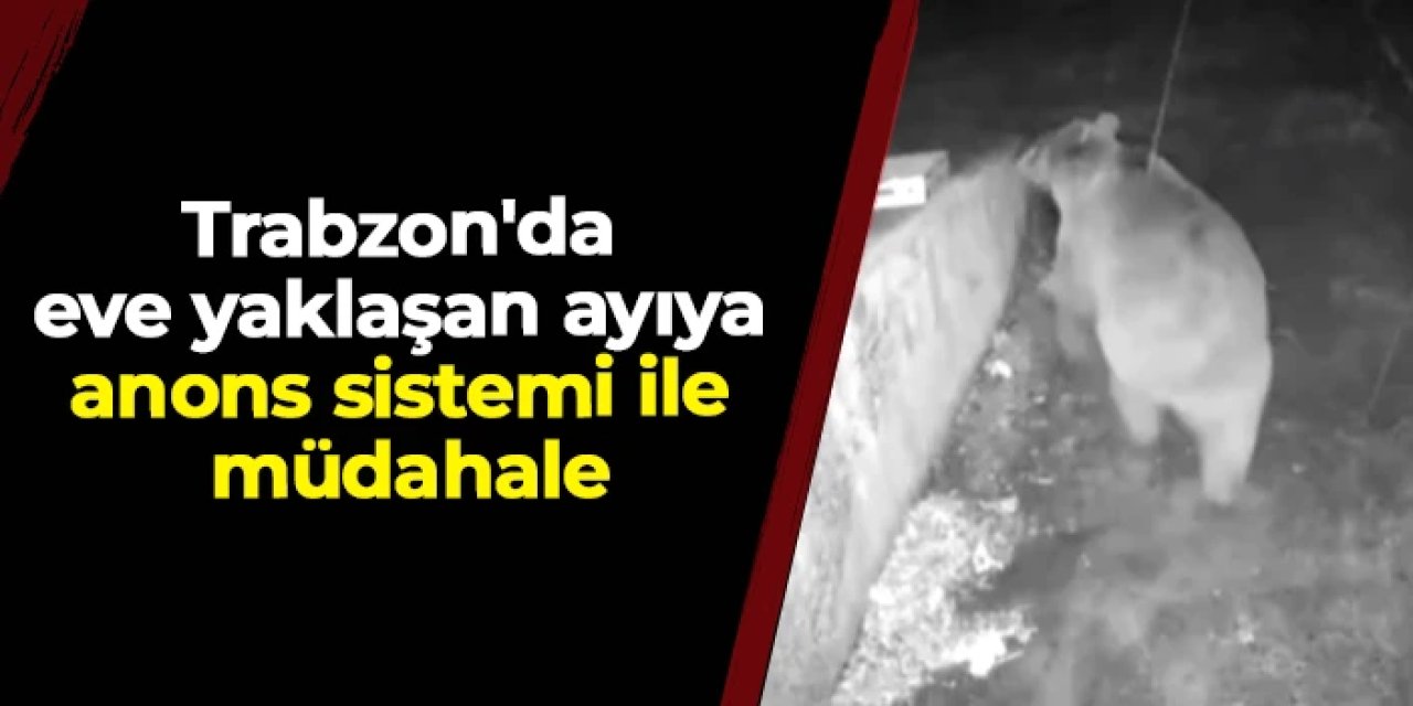 Trabzon'da eve yaklaşan ayıya anons sistemi ile müdahale