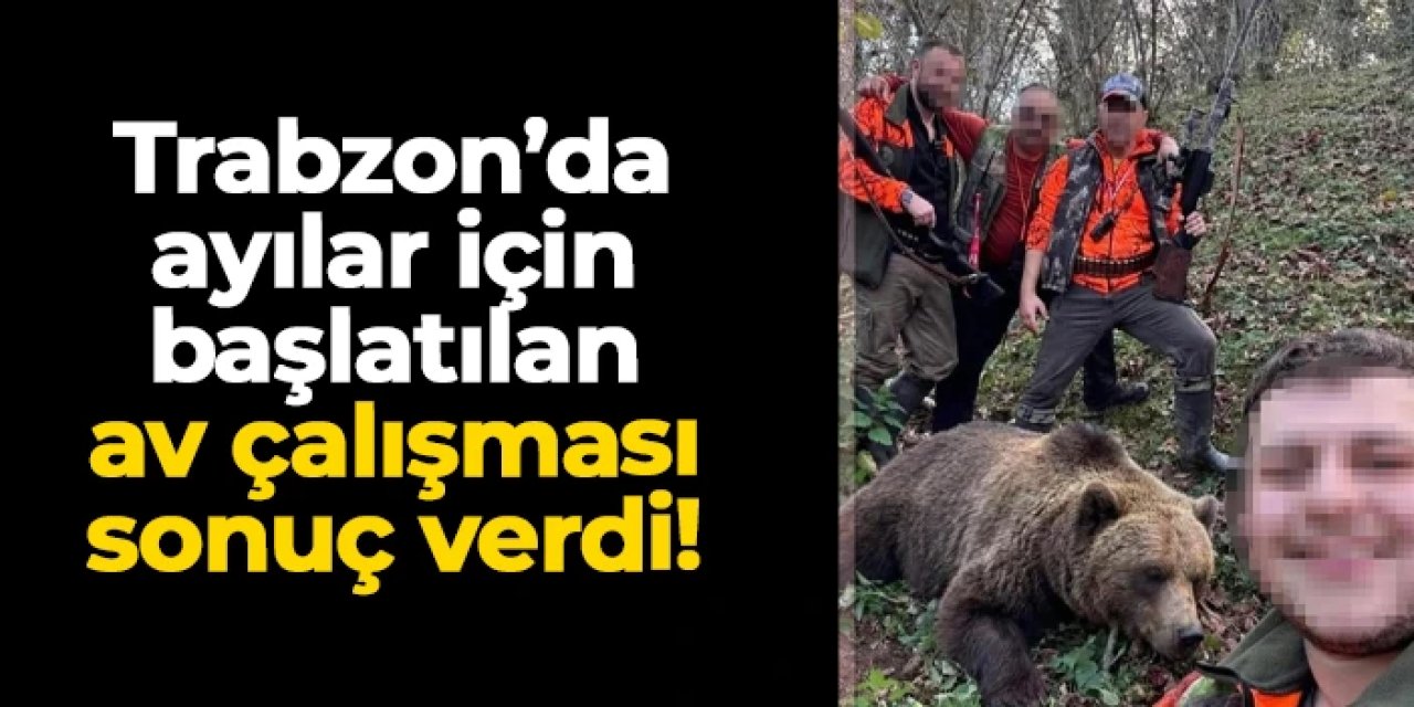 Yaylalarda boş evlere adeta baskın yapıyor! Trabzon'da ayılar için başlatılan av çalışması sonuç verdi