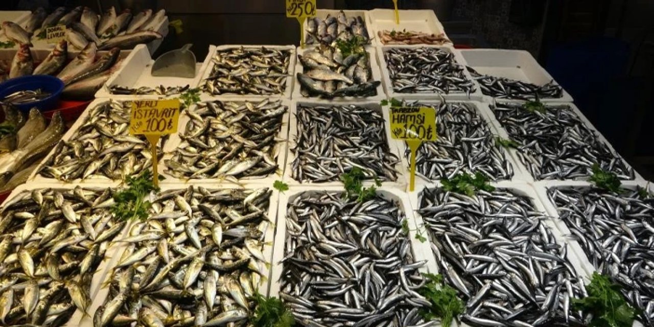 Trabzon'da balıkçılar bile şaşkın: "35 yıldır böylesini görmedik"