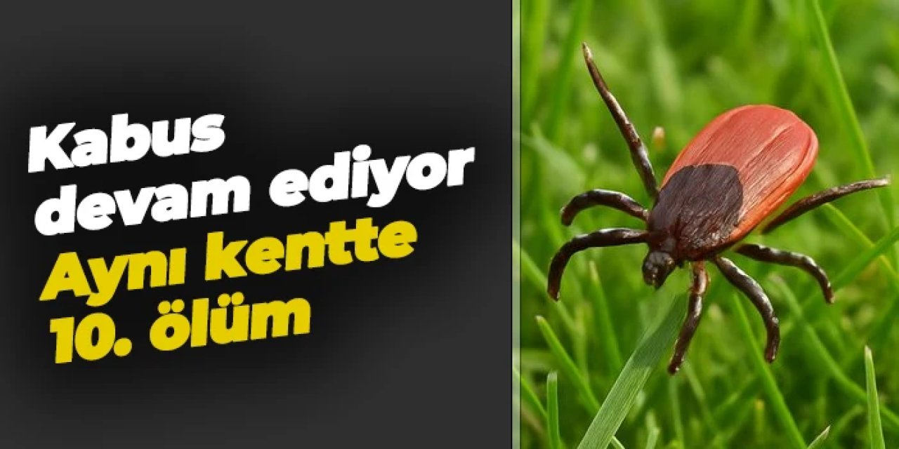 Aynı kentte 10. ölüm! Kene kabusu büyüyor