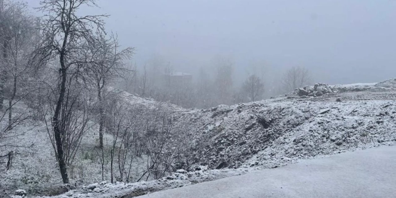 Ordu'da yüksekler kar yağışıyla beyaza büründü