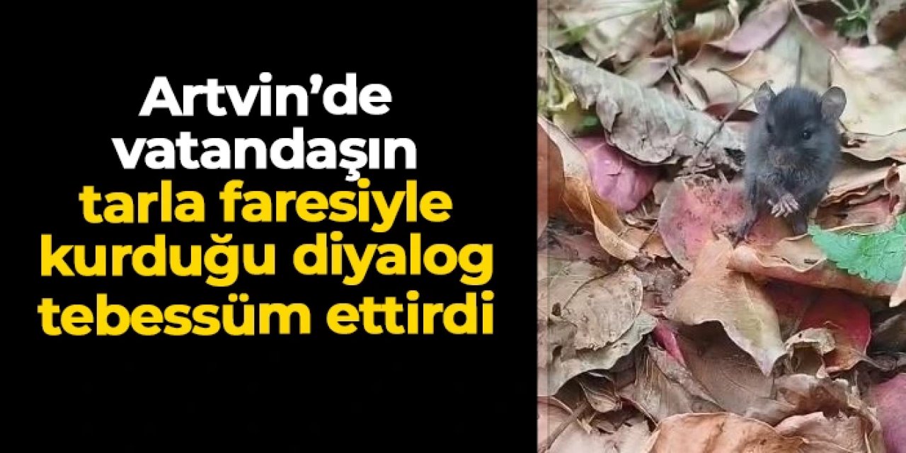 Artvin'de vatandaşın tarla faresiyle diyaloğu tebessüm ettirdi