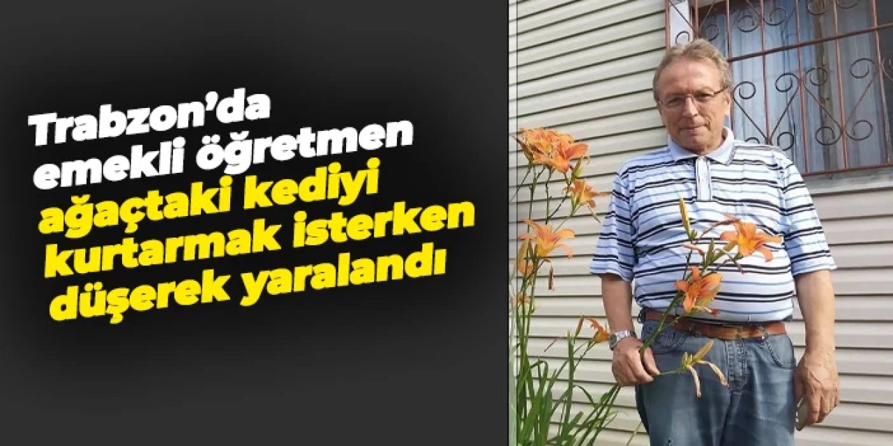 Trabzon'da ağaçtaki kediyi kurtarmak isterken düşerek yaralandı