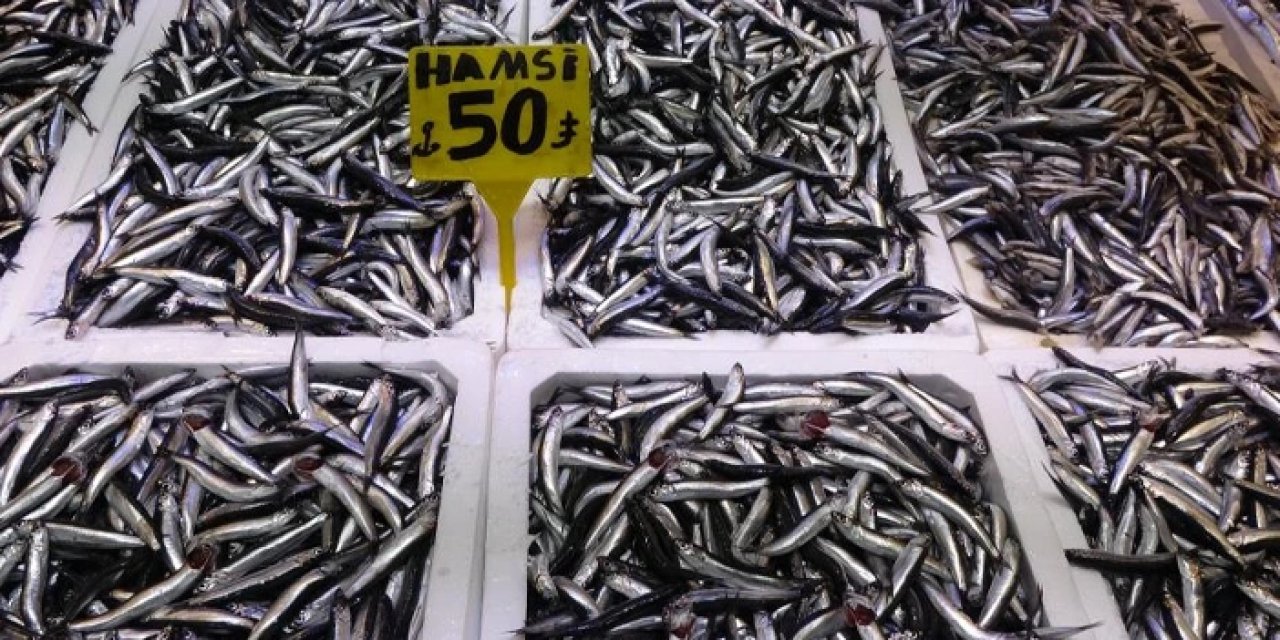 Yerli hamsi sevenlere kötü haber: "Türk karasularını terk etti"