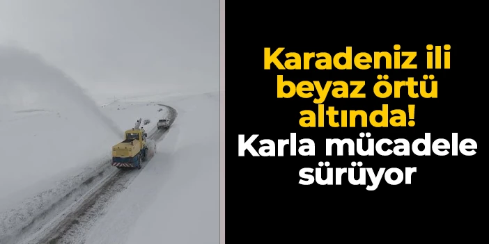 Bayburt beyaz örtü altında: 170 köyde karla mücadele